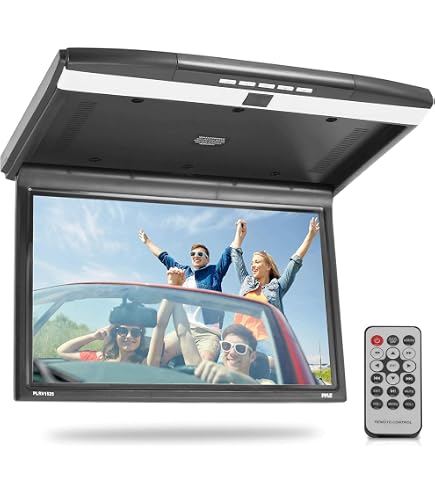 Amazon.com: Alpine PKG-RSE3DVD Overhead Video Combo 10.2